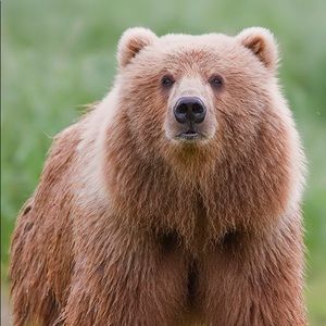 Meet your Posher, Joseph